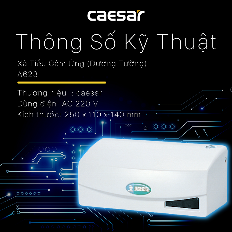 XẢ TIỂU CẢM ỨNG CAESAR A623