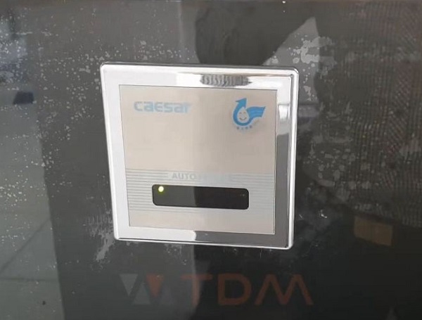 XẢ TIỂU CẢM ỨNG CAESAR A637