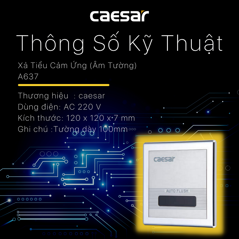 XẢ TIỂU CẢM ỨNG CAESAR A637