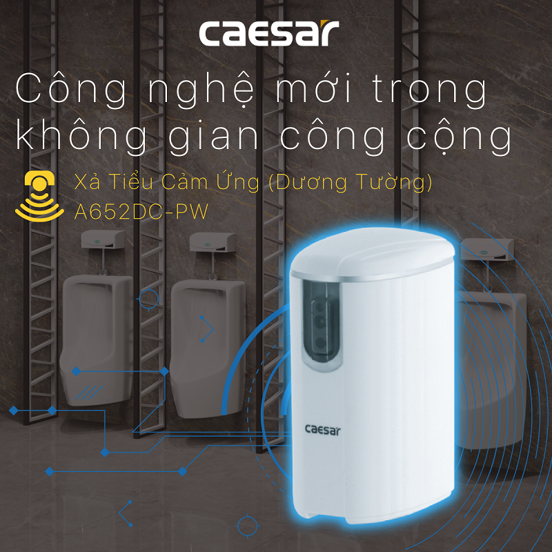 XẢ TIỂU CẢM ỨNG CAESAR A652DC-PW