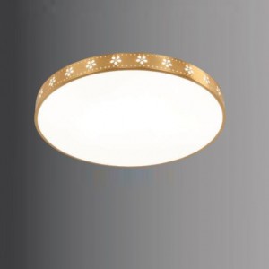 ĐÈN MÂM ỐP TRẦN ĐỒNG OĐ 3104